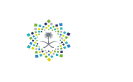 رؤية 2030